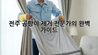 전주 곰팡이 제거 전문가의 완벽 가이드
