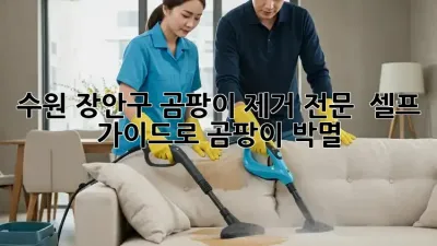 수원 장안구 곰팡이 제거 전문 💯 셀프 가이드로 곰팡이 박멸!