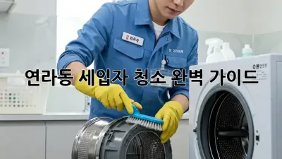 연라동 세입자 청소 완벽 가이드 🧹✨