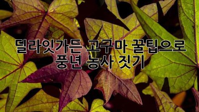 딜라잇가든 고구마: 꿀팁으로 풍년 농사 짓기!