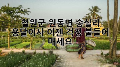 철원군 원동면 송실리 용달이사, 이젠 걱정 붙들어 매세요!